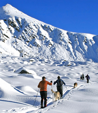 cross country skiing