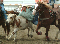 omak rodeo